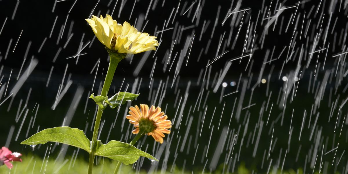 Հայաստանում տեղումները հասել են ամսական նորմայի մինչև 75%-ին՝ մեկ օրում