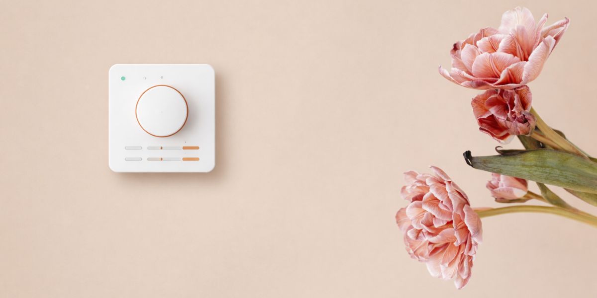 Ռուսաստանը խստացնում է Հայաստանից ներմուծվող ծաղիկների վերահսկողությունը. ինչ պայմաններ են փոխվել