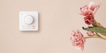 Ռուսաստանը խստացնում է Հայաստանից ներմուծվող ծաղիկների վերահսկողությունը. ինչ պայմաններ են փոխվել