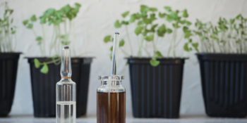 2026-ին կփոխհատուցվի բուսաբուծության ծախսերի մինչև 50%-ը