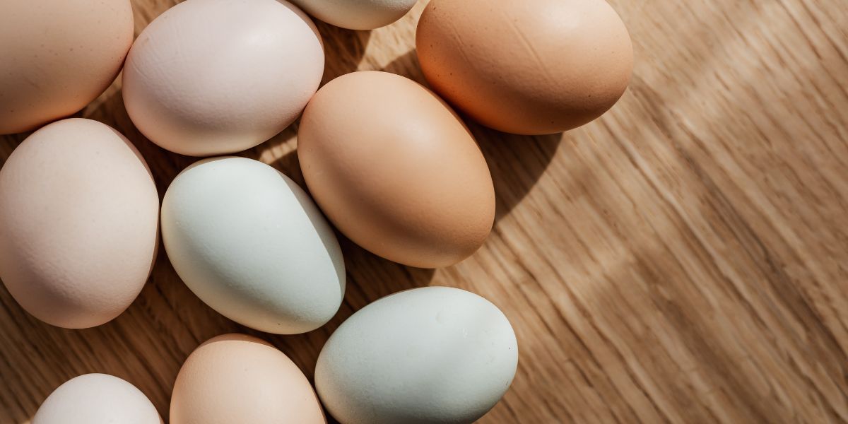  Ինչ խախտումներ է բացահայտել ՍԱՏՄ-ն ձվի շուկայում