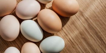  Ինչ խախտումներ է բացահայտել ՍԱՏՄ-ն ձվի շուկայում