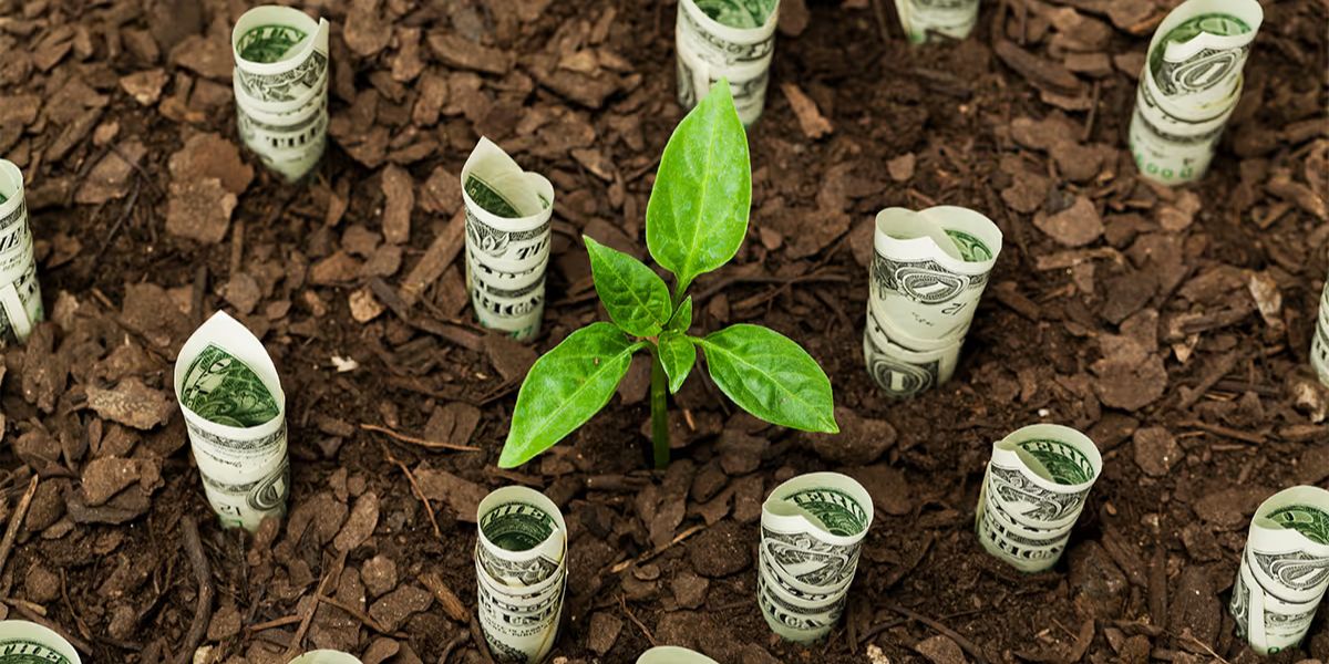 Ինչպես ներդրումներ կատարել Հայաստանում․ օրենքը փոխվում է