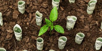 Ինչպես ներդրումներ կատարել Հայաստանում․ օրենքը փոխվում է