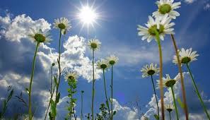 Ապրիլի 15-ից 18-ը ՀՀ ողջ տարածքում ջերմաստիճանը կբարձրանա, բայց կմոտենա հաջորդ ցիկլոնը. Գագիկ Սուրենյան