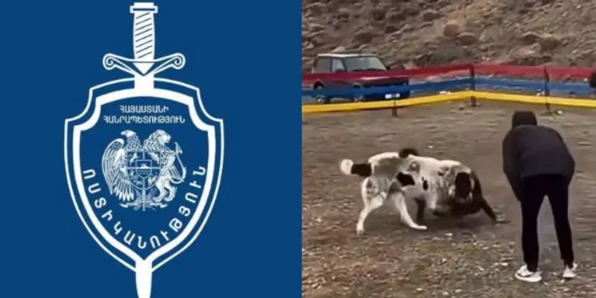 Կանխվել է շնամարտը. ձերբակալվել է 3 անձ (տեսանյութ)