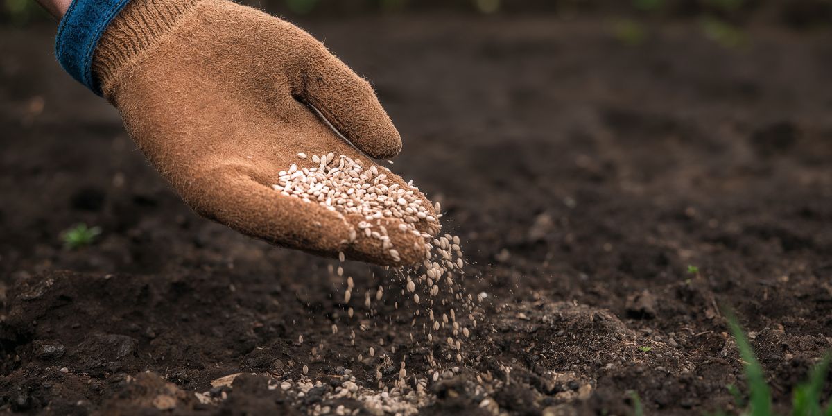 Կառավարության նիստում կընդունվի պարարտանյութերի գնի սուբսիդավորման ծրագիրը