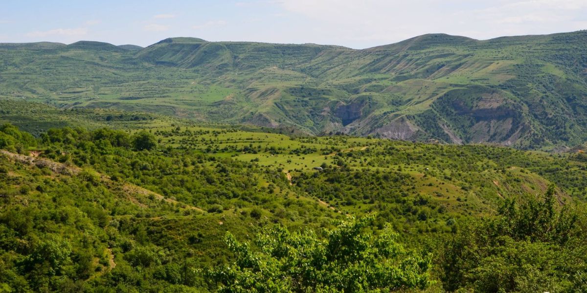 Կովկասի բնության հիմնադրամը 285 հազար եվրո է հատկացրել ՀՀ բնապահպանական կառույցներին