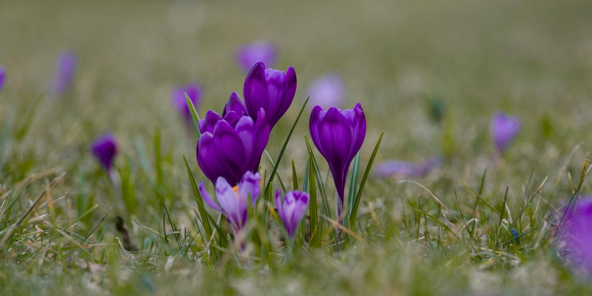 Ինչ եղանակ է սպասվում Հայաստանում