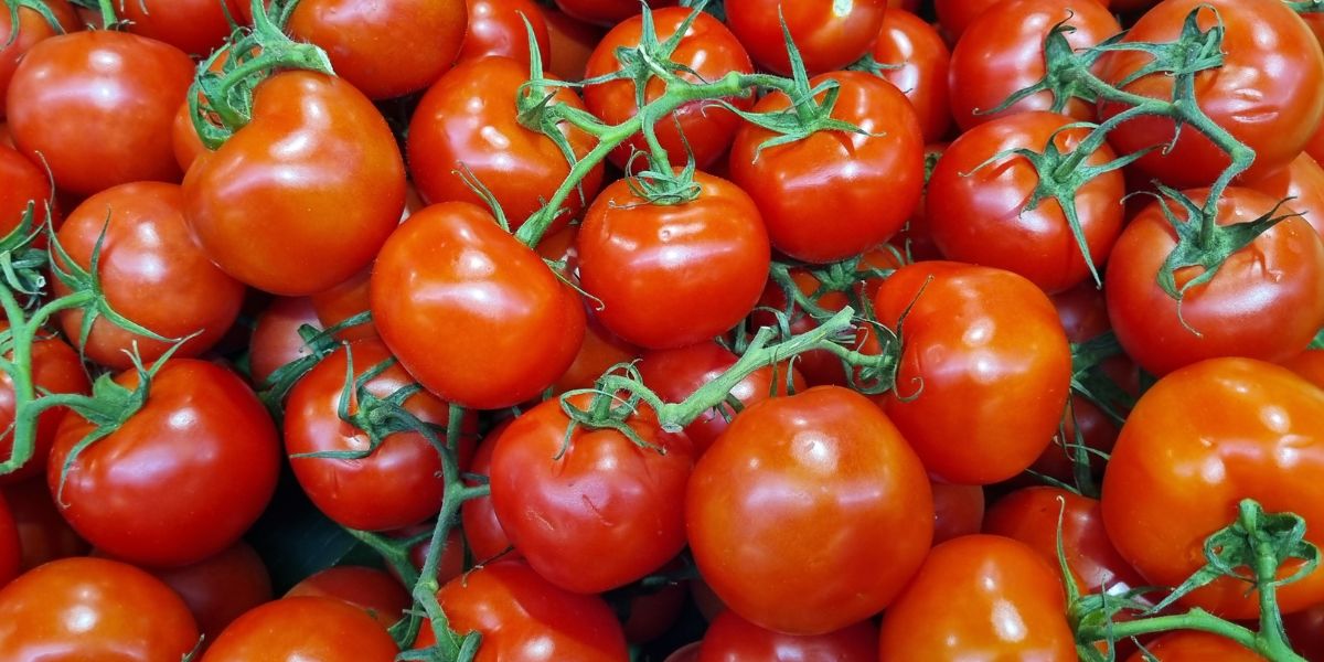 Լոլիկի գերժամանակակից ջերմոց և գինու արտադրություն. Որ ընկերություններն են ազատվում մաքսատուրքից