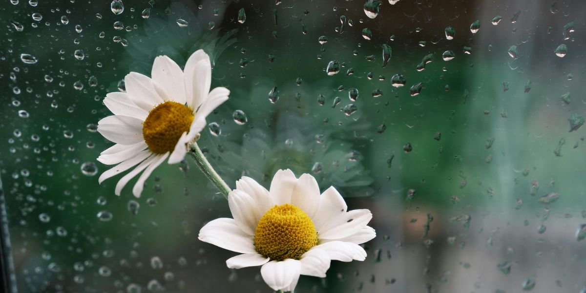 Ինչ եղանակ է սպասվում Հայաստանում ապրիլի 24-ին