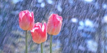 Ինչ եղանակ է սպասվում Հայաստանում