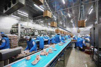 Հնարավոր է` Հայաստանը շուտով ունենա թռչնի տոհմային ֆաբրիկա