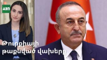 Թուրքիայի թաքնված վախերը. Անկարան պայքարում է սփյուռքի դեմ