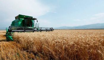 Աշնանացան․ Գեղարքունիքի մարզում նախորդ տարվա համեմատ կատարվել է 2221 հեկտարով ավելի աշնանացան