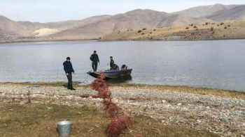 Վերահսկողություն․ Սևանա լճից դուրս է բերվել 75 ապօրինի խեցգետին որսալու սարք