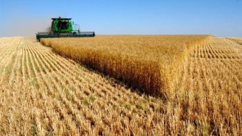 2023թ-ին կարգելվի հացահատիկի ու ձեթի արտահանումը Հայաստանից