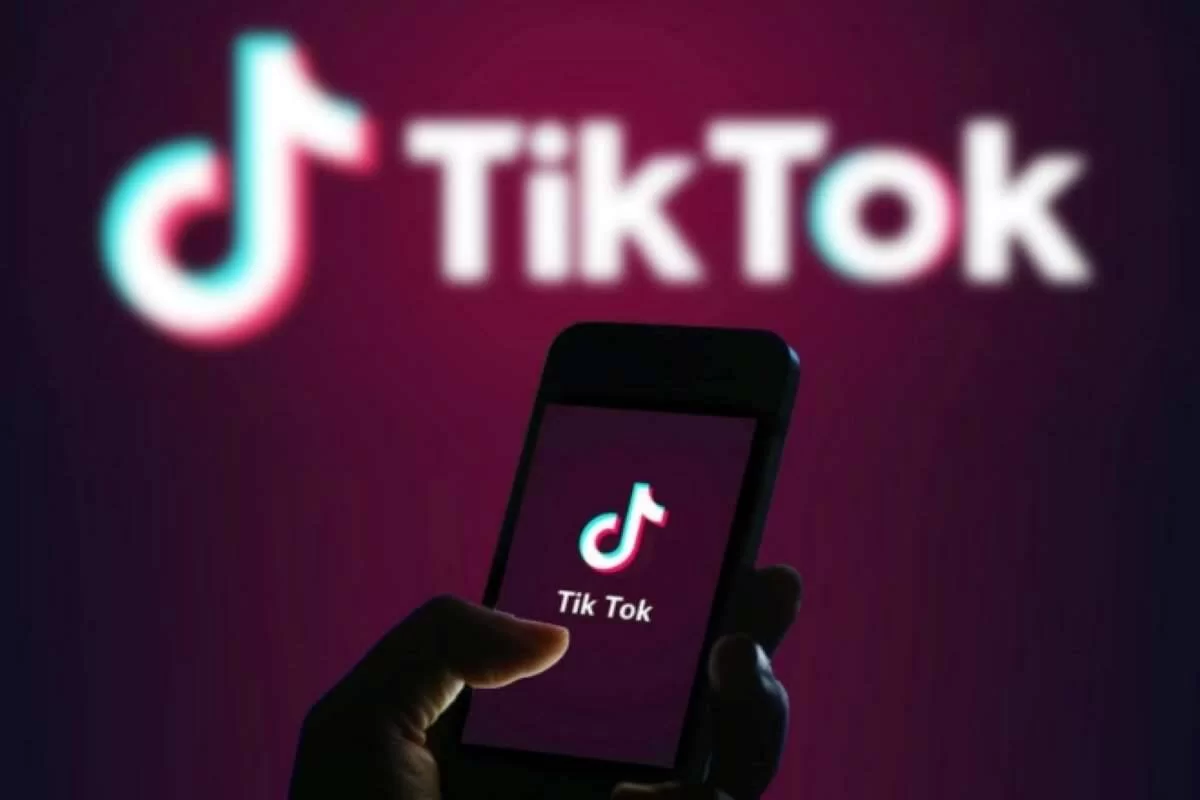 TikTok-ը սկսել է փորձարկել իր Tako չաթբոտը