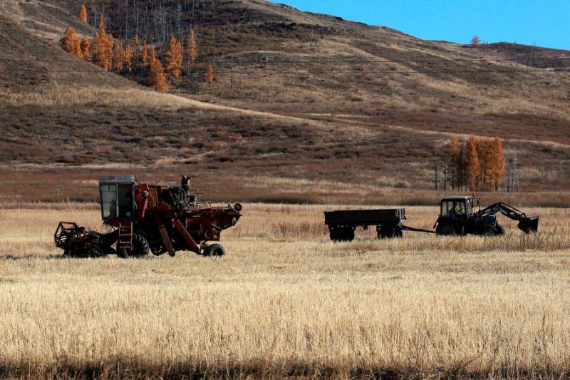 Պուտինի հայտարարություններից հետո հացահատիկի համաշխարհային գները նվազել են 10%-ով