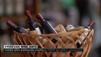 Որքա՞ն գինի է արտադրում Արենիի գինու գործարանը