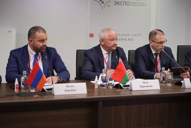ՀՀ էկոնոմիկայի նախարարը ելույթ է ունեցել ԵԱՏՄ արդյունաբերական քաղաքականության խորհրդի չորրորդ նիստում