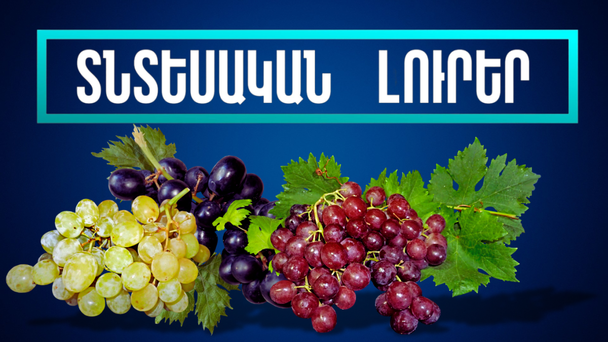 Նոյեմբերի 18-ի տնտեսական լուրերը