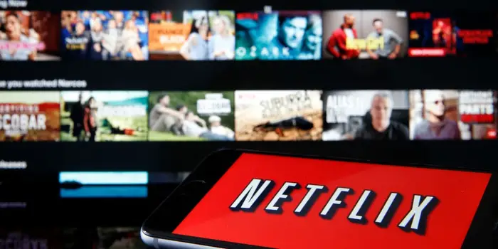 2022 թվականի երկրորդ եռամսյակում  Netflix-ը կորցրել է մոտ մեկ միլիոն բաժանորդ